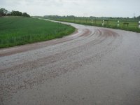 IMG_1487x.jpg