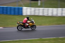 IMG_0553.jpg