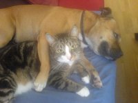 Kayla och Boop.JPG