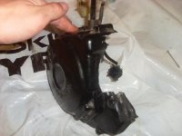 SL384048 förminskad !.JPG