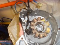 SL384050 förminskad !.JPG