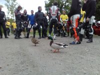20090606452.jpg