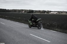 hoj1 09771.jpg