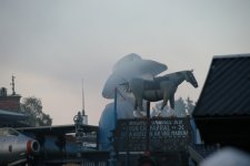 DSC02461.jpg