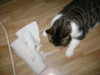 Bild 22584.jpg