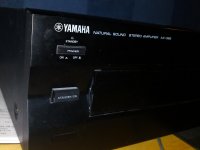 DSC00558.jpg