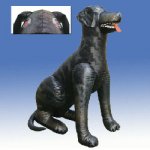 dog_inflatable.jpg