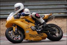 gul triumph 2.jpg