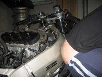 IMG_4005.JPG