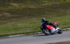 IMG_9201.jpg