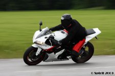 IMG_00209.jpg