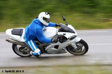IMG_00263.jpg