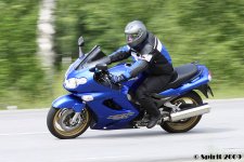 IMG_00295.jpg