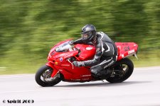 IMG_00303.jpg