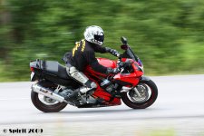 IMG_00334.jpg