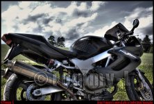sh2.jpg