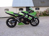 Ninja turtle 600.jpg