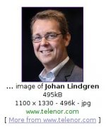 telenors_vd.jpg