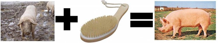 brushed pig.JPG