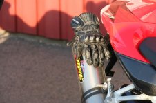 resize of IMG_6626.JPG