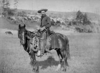 800px-Cowboy.jpg