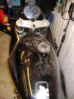 DSC00078.jpg
