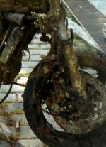 ratbike 2.jpg