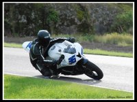 36 - Wedell_01s.jpg