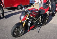 IMG_1181_edit_medium.jpg