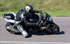 IMG_1330.jpg