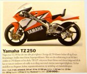 TZ250.jpg