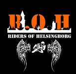Riders of Helsingborg with wings 2.jpg
