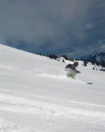 n594728856_396258_2199.jpg