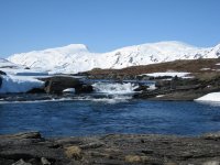 IMG_0438.jpg
