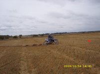 SL273331.jpg