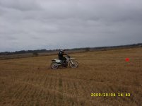 SL273336.jpg