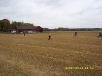 SL273333.jpg