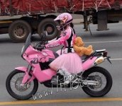 pink_ktm.jpg