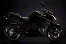 Z1000_3.jpg