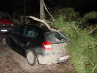 Reportage 010.jpg