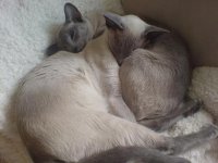 DSC01637.JPG