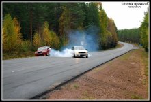 DSC_6319 omgjord.jpg