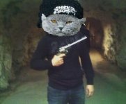 magnum44goespussymad.jpg