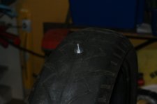 DSC01003.jpg