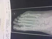 20091104072.jpg