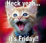 lolcatsdotcom4wl3o9kkse21b3uq.jpg