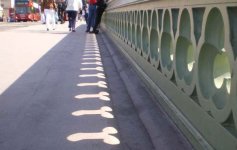 !cid_image001_jpg@01CA61E8.jpg