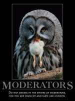 Moderators.jpg