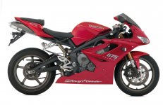 Daytona Triumph 675.jpg