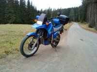 Bild 399.jpg